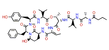 Lyngbyastatin 9